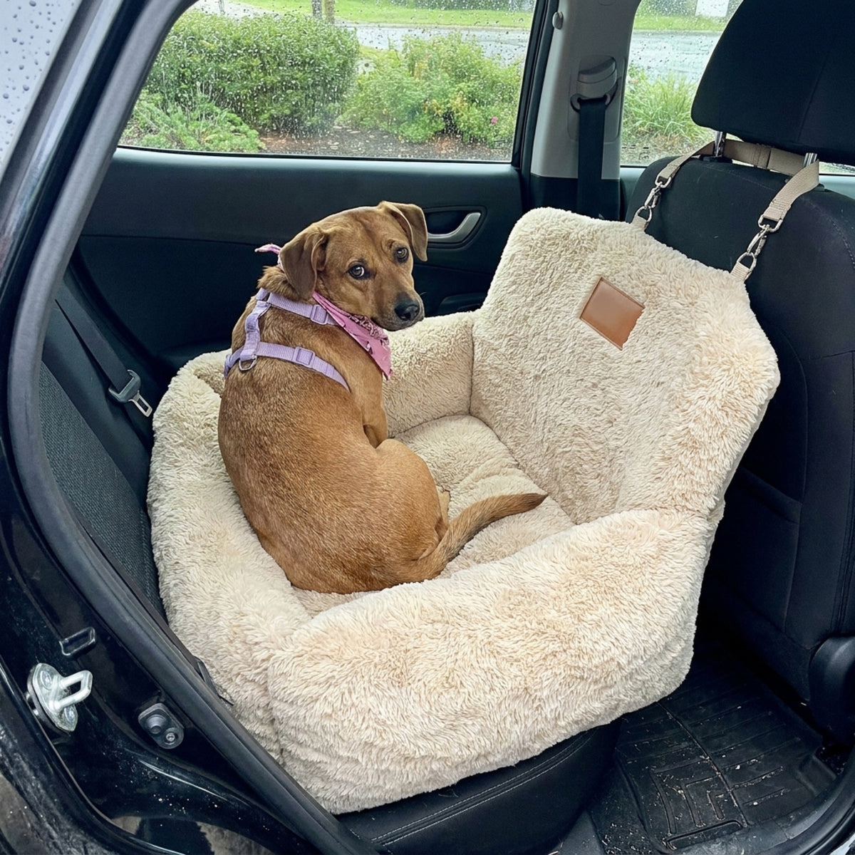 A brown short-haired dog in a lilac harness sits in a cream Nordpaw lounger car bed, looking back over its shoulder, seen through the open rear door of a car