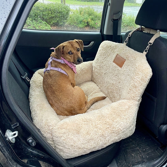 A brown short-haired dog in a lilac harness sits in a cream Nordpaw lounger car bed, looking back over its shoulder, seen through the open rear door of a car
