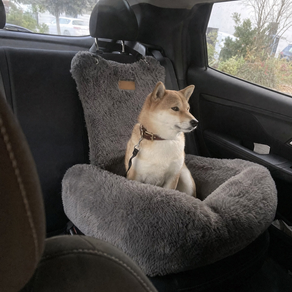 A Shiba Inu in a grey Nordpaw lounger car bed, photographed from the front seat over the headrest